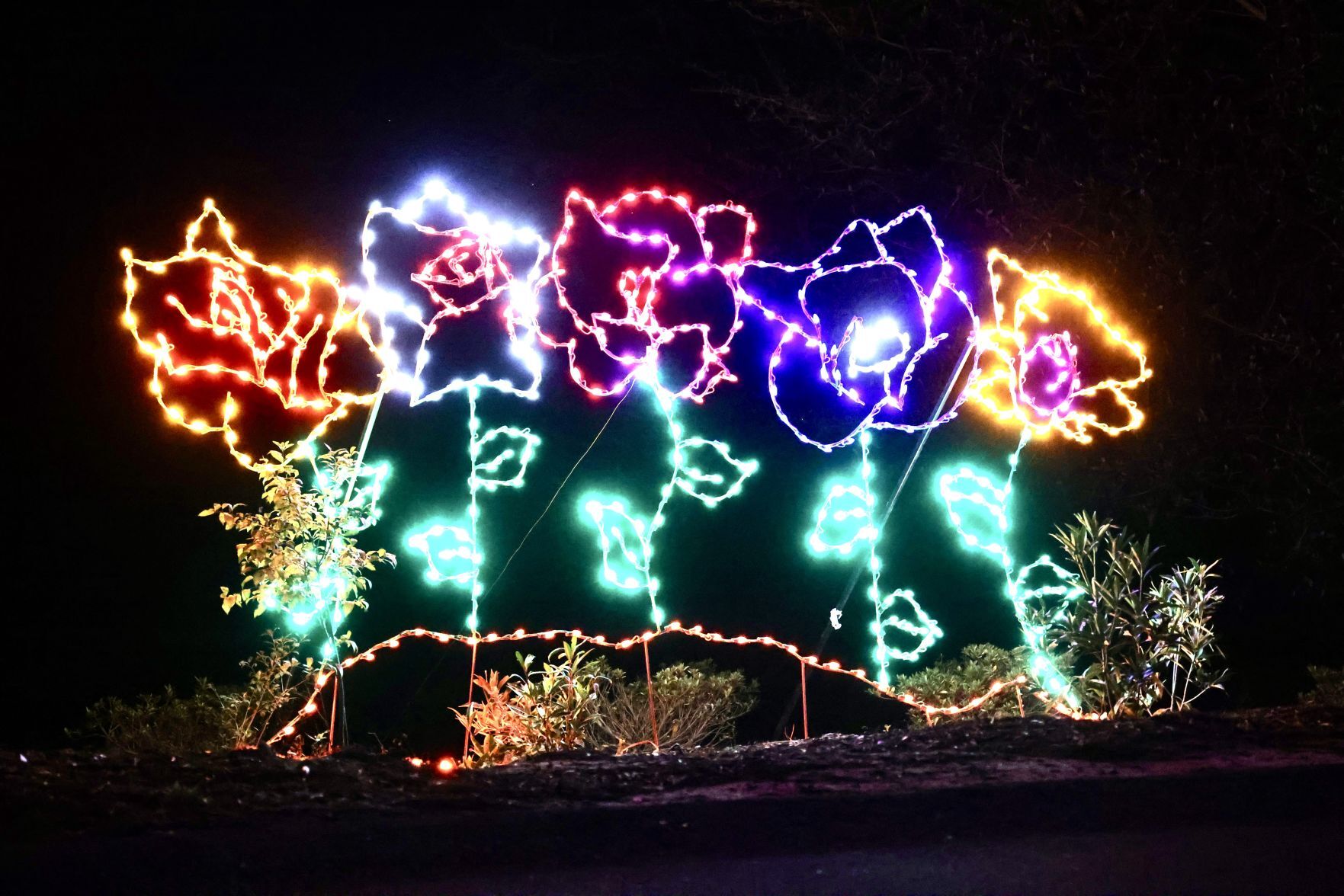 Orangeburg Christmas Lights